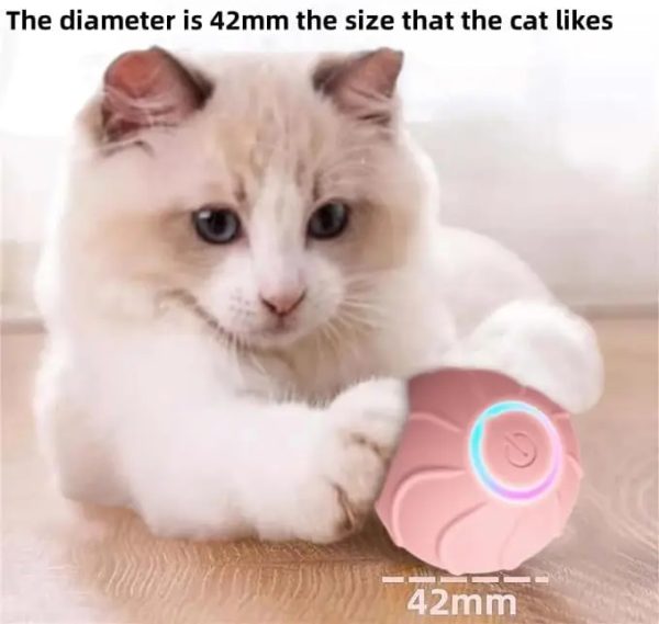 img_aliexpress_1731139640.jpeg 11