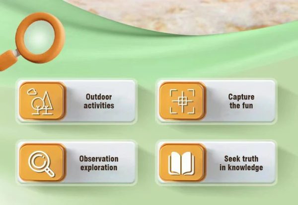 img_aliexpress_1732491566_11.jpeg 12