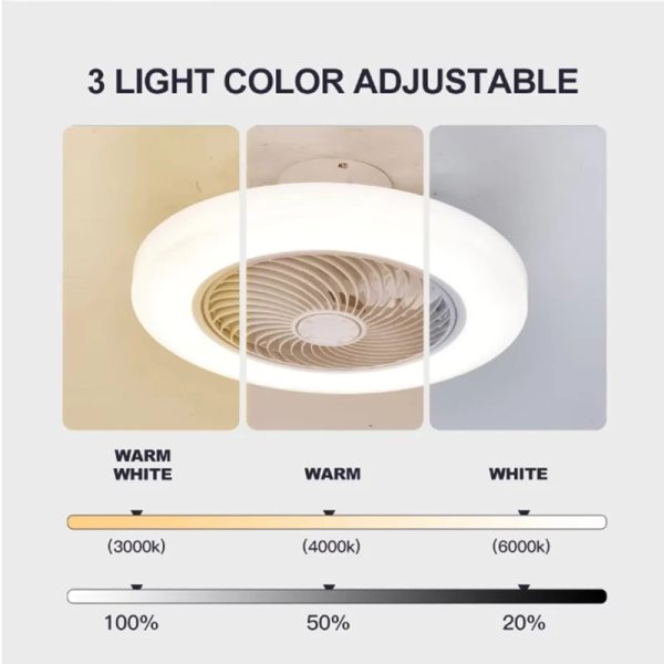 img_aliexpress_1732966847_3.jpeg 4