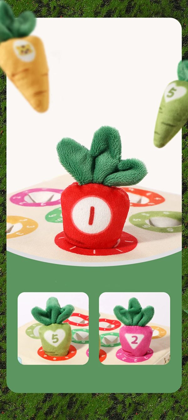 img_aliexpress_1733044331_7.jpeg 8