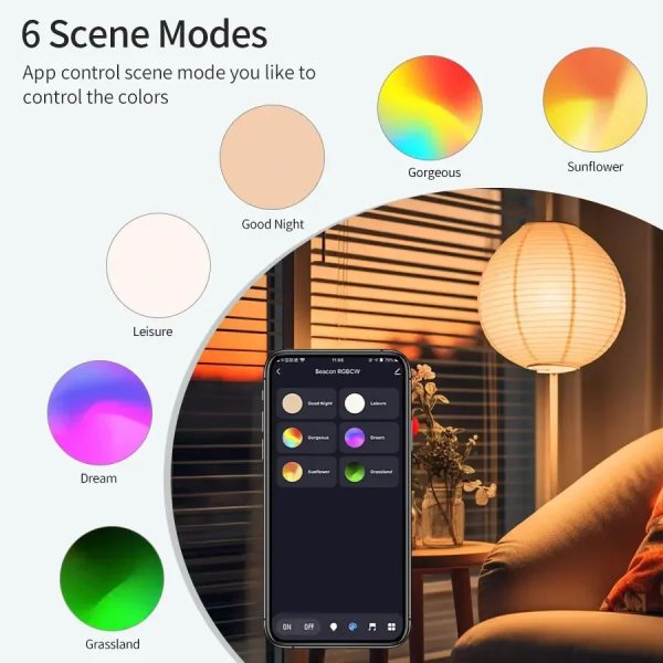 img_aliexpress_1736882288_2.jpeg 3