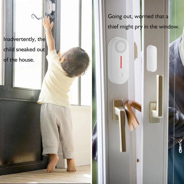 img_aliexpress_1737045929_9.jpeg 10