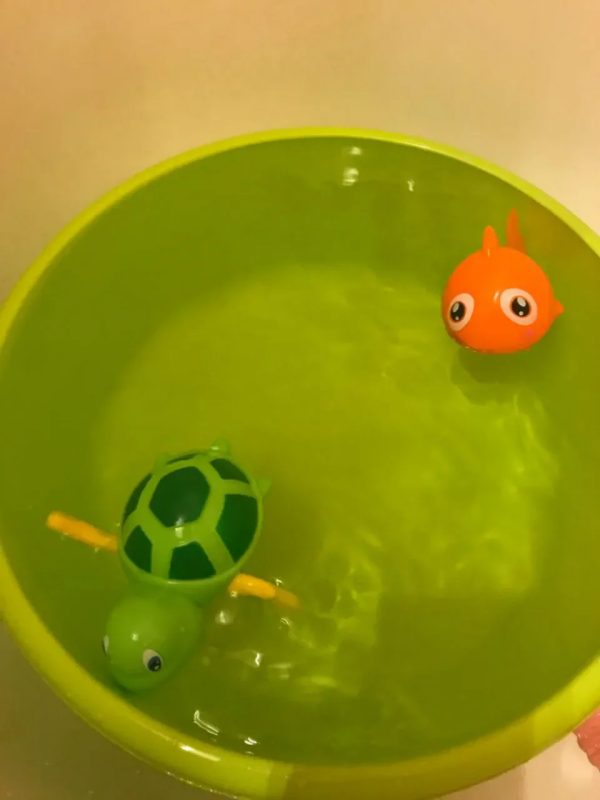 img_aliexpress_1737110515_9.jpeg 10