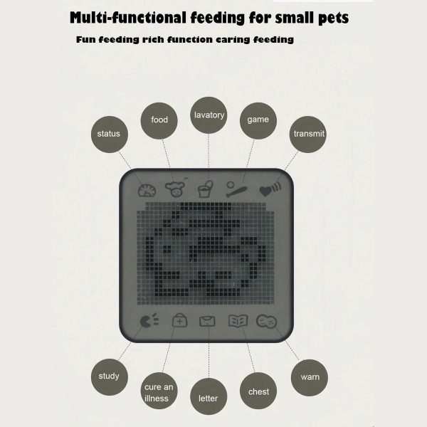 img_aliexpress_1737111820_11.jpeg 12