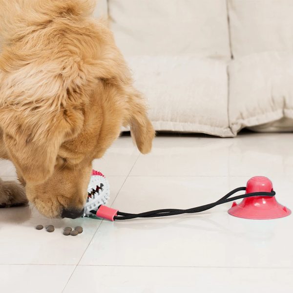 img_aliexpress_1737297600_3.jpeg 4