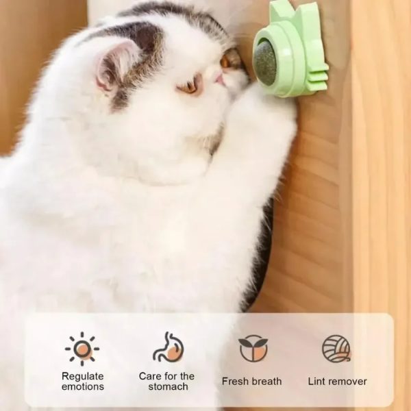 img_aliexpress_1737365400_5.jpeg 6