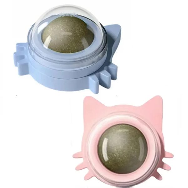 img_aliexpress_1737365403_14.jpeg 15