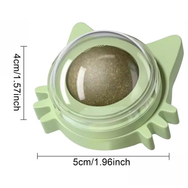 img_aliexpress_1737365403_16.jpeg 17