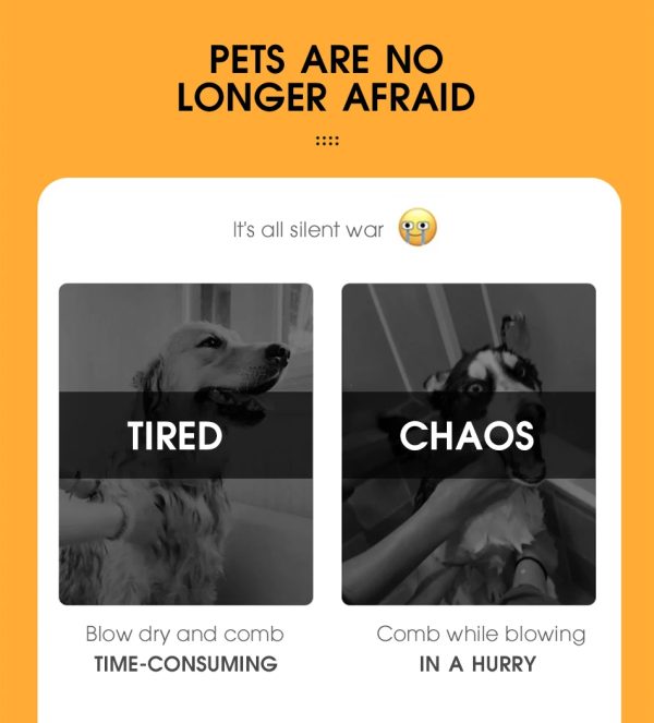 img_aliexpress_1739292765_10.jpeg 11