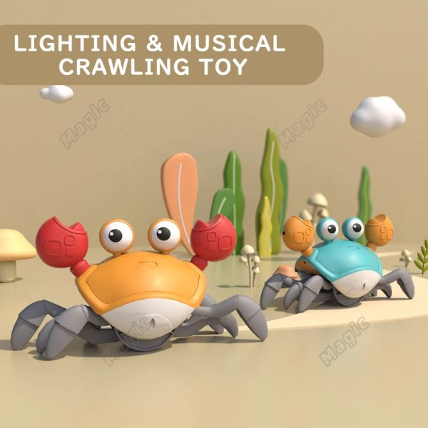 img_aliexpress_1739790425_5.jpeg 6